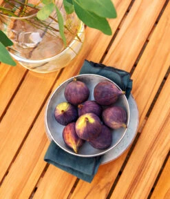 Dehner Aluminium-Lounge Malibu, 2-teilig -Gartenmöbel 4209870 WE DE 006 LoungeMalibuNEU