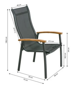 Dehner Stapelstuhl Chicago Wood -Gartenmöbel 6701866 WE BG 001 StapelstuhlChicagoWoodNEU
